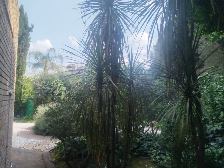 To Let 3 Bedroom Property for Rent in Hillsboro Free State